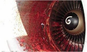 АirBaltic представил календарь со своими стюардессами и вот фото всех прекрасных "месяцев"