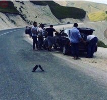 Подборка автомобильных приколов