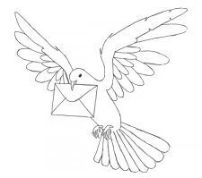 и не только