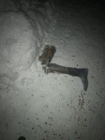 терминатору изды дали...