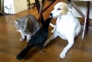 Фотопост о Дружбе и Добре