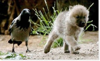 Фотопост о Дружбе и Добре