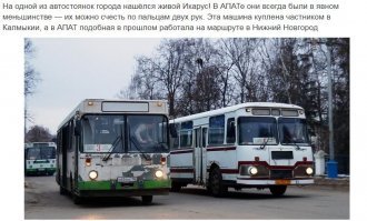 А тэпэръ в "Икарус" пальцем ткните, сударь? На снимке тот же ЛиАЗ - первые машинки были ещё в пршлом тысячелетии - с КамАЗ-овским движком. После одной резонансной аварии у них нашли изъян передней подвески и сняли с эксплуатации. Позже начали выпускать в варианте с АКПП и дизелем  Caterpillar. Кузов же "мордально" остался прежним.