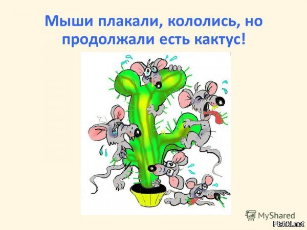 Камаз, чувак, - это самодостаточное предприятие, оно и без всяких немцев может спокойно работать. До тебя это, видимо, не доходит. Это означает, что предприятие производит всё необходимое для производства автомобилей, понятно? Даже двигатели, коробки, мосты и раздатки. Вообще я считаю, что сотрудничество с такими известными фирмами как Даймлер - это вещь очень полезная и нужная, хоть и не критически важная. Икстати, на Камазы ставятся ещё двигатели Cummins, однако сам американский Cummins что-то не спешит отказываться от сотрудничества, несмотря на всякие там санкции. Мерседес тоже сидит и ни гугу. Мышары плакали и кололись, но, сука, продолжали жрать кактус 


Что касается "сборки Мерседеса", то тут я вообще нихрена не понял: на Даймлере уже начали Камазы собирать, что ли??? Или немцы открыли у нас сборочный цех, и немецкие рабочие собирают там Камазы??? Или же на самом "Камазе" стали собирать Мерседесы??? Ты, собственно, что сказать-то хотел?

Ушла Джи-эма, да и хер бы с ней. Как говорится, скатертью дорога. На их место уже пришли другие :). Никто плакаться не будет.

Свои "Сименсы" у нас уже давно есть, под Питером. Турбины того типа и мощности, которые у нас не производились ранее, и которые покупались у "Сименса", теперь производятся там, на "Ижорских заводах". Какая досада . Но это не означает, что мы не будем сотрудничать с "Сименсом", просто теперь у "Сименса" будут не такие выгодные условия, как прежде. Ибо нех..й было выё... . И вообще, мы будем сотрудничать со всеми, кто нам выгоден, вот так.

Диванные эксперты только и могут, что сравнивать длину, ширину, высоту и прочее. Это всё, на что у них ума хватает. А вот специалисты имеют несколько иное мнение. Но кому интересно мнение каких-то там специалистов???
На, читай, экпертище: , статья хоть и старая, но во многом актуальная и сегодня.
А заодно потрудись в каких-нибудь википедиях выяснить разницу между автомобильным и автомобильно-железнодорожным мостом (два моста в одном, угу), а также попытайся хоть как-то усвоить, что цена строительства определяется прежде всего сложностью исходных условий и климатическими нюансами. Если ты не в состоянии ничего из этого усвоить, то далее вести беседу на эту тему невозможно.

Живу в частном доме в пригороде. Участок 5 соток.