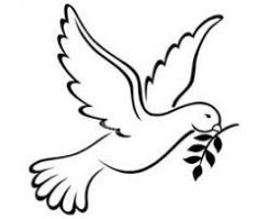 А нас всегда учили - голубь птица мира!