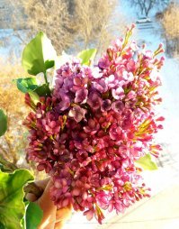 Спасибо, автор! И успехов Вам в творчестве!
А вот какие розы и другие цветы делает моя подруга из Омска. И у меня дома такие розы есть, это просто волшебство.