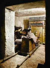 кто кто-Анубис в пальто.