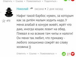вот и всё, что нужно знать об Авторе-Долбоиопе