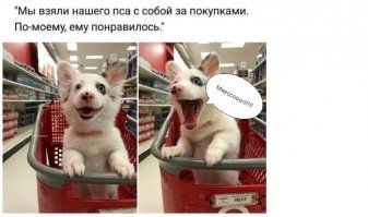 Картинки с надписями для настроения