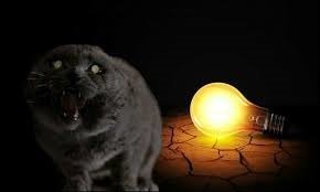 Подряд идут просто ох.y.ительные истории. У одного Эйнштейн на улице видится, у этого "держись!".