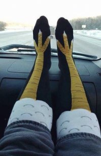 у нее вместо ног ....