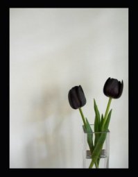 Нас покинул народный артист России Михаил Державин