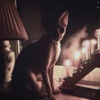 Как я черных риэлторов опустил