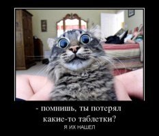 Как я черных риэлторов опустил