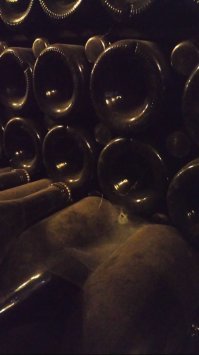 Ну если уж претендовать на эдакого гуру, то не Дарвиньиб Дравиньи. Что собственно, написано на бутылке: Dravigny.
И это вполне себе нормальное игристое вино, производящееся по классической технологии с ферментацией в бутылках.