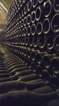 Ну если уж претендовать на эдакого гуру, то не Дарвиньиб Дравиньи. Что собственно, написано на бутылке: Dravigny.
И это вполне себе нормальное игристое вино, производящееся по классической технологии с ферментацией в бутылках.