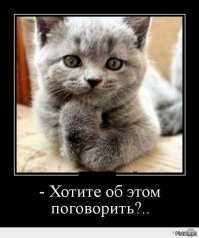  Крайне неудачная попытка выпустить спасенную белку на волю 