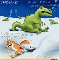 Как аллигаторы переживают морозы