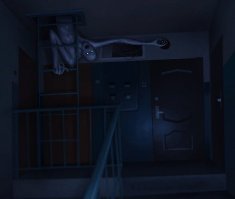 Так вот кто шкодит по ночам в подъезде: