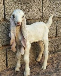 сразу напомнила фотка кадр из киношки