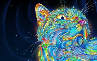 LSD мой лучший друг )))