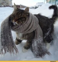 хорошо все таки есть добрые люди)