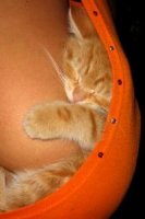 Суперподушка обещает здоровый и крепкий сон на борту самолета