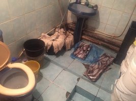 Когда зашел в магазин купить рыбки в брикетах и приспичило посрать.