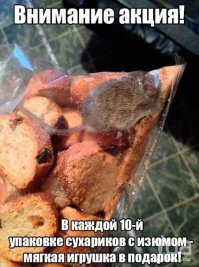 Пост, который поспособствует похудению с помощью негуманных методов