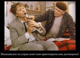 Шампанское и другие игристые вина