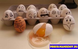 5 самых распространенных мифов о куриных яйцах