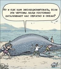 Тайцы  спасли гигантского 200-килограммового сома, оказавшегося на мелководье 