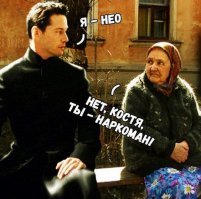 Как охотиться на диких кошек