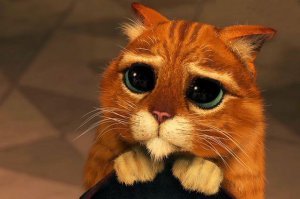 Они все такие!