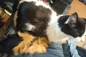 Копия моей, только моложе.