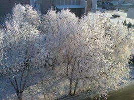 Картинки с надписями для настроения