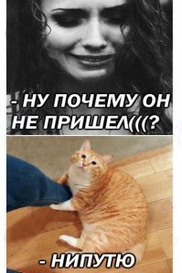 Картинки с надписями для настроения