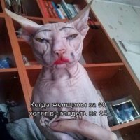 Очередная пятничная подборка СМС-ок, кртинок , высказываний из соцсетей