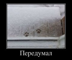 Подковы-то им на зимние не поменяли! ;)