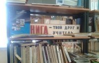 Различия негра и белого