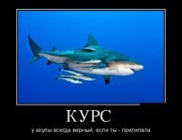 К кинокритикам прислушиваются только безголовые)