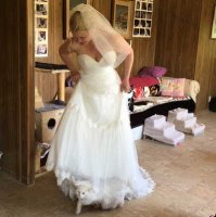 Вот вам много котиков, только не хмурьтесь! )))