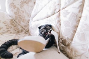 Вот вам много котиков, только не хмурьтесь! )))