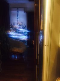 Когда мой котик мурчит - он выдаёт себя при слежке))))