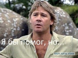 В Индонезии крокодил живёт с ошейником из речного мусора