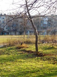 Везет же людям! 1 января 2018 у нас: