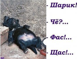 Ленивый пост о лени, который даже лень открывать