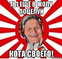 “ОНА словно окаменела!” одинокая кошка замерзала на дороге в суровый мороз