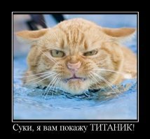 “ОНА словно окаменела!” одинокая кошка замерзала на дороге в суровый мороз