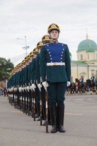 да не швейные это войска это реальная форма нац гвардии украины.
Сделано по типу:
